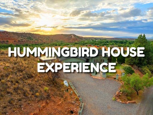 Hummingbird House Experience