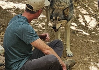 TRANSFORM Men's Retreat 2024- Wolf Sanctuary