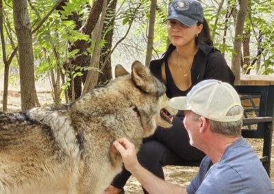 TRANSFORM Men's Retreat 2024- Wolf Sanctuary