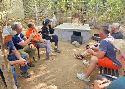 TRANSFORM Men's Retreat 2024- Wolf Sanctuary